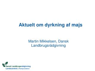 Aktuelt om dyrkning af majs