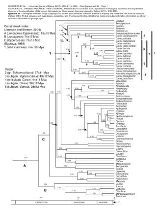 Constrained nodes (Janssen and Bremer, 2004) A (Juncaceae-Cyperaceae): 88 ±16 Mya