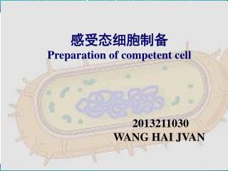 感受态细胞 (Competent cells)