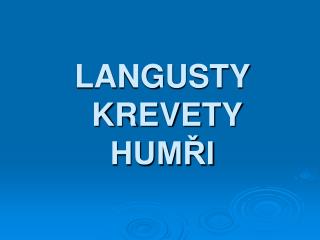 LANGUSTY KREVETY HUMŘI