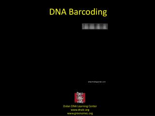 DNA Barcoding