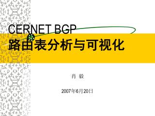 CERNET BGP 路由表分析与可视化