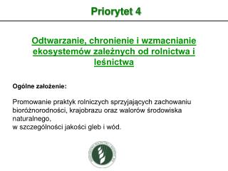 Priorytet 4