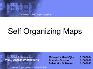 Self Organizing Maps