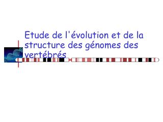 Etude de l'évolution et de la structure des génomes des vertébrés