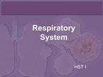 Respiratory System