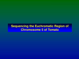 Sequencing the Euchromatic Region of Chromosome 5 of Tomato