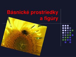 Básnické prostriedky a figúry