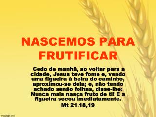 NASCEMOS PARA FRUTIFICAR