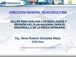 Ing. Nena Rosario Gonzales Meza DGA-Dma