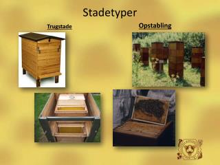 Stadetyper