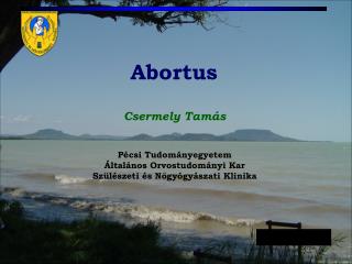 Csermely Tamás
