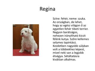 Regina