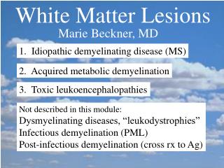 White Matter Lesions