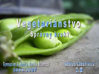 Vegetariánstvo