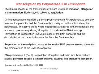 Transcription by Polymerase II in Drosophila