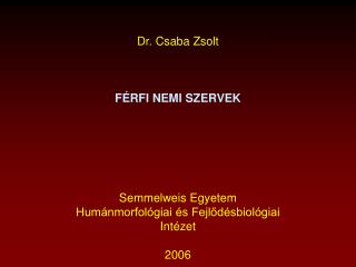 Dr. Csaba Zsolt FÉRFI NEMI SZERVEK Semmelweis Egyetem Humánmorfológiai és Fejlődésbiológiai