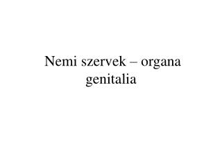 Nemi szervek – organa genitalia