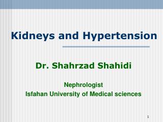 Kidneys and Hypertension