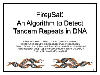 Fire μSat : An Algorithm to Detect Tandem Repeats in DNA