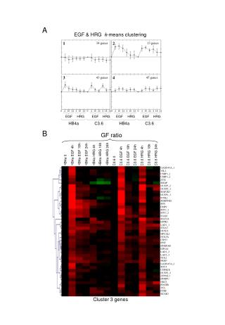 EGF &amp; HRG k -means clustering