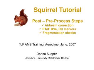 Squirrel Tutorial Post – Pre-Process Steps Airbeam correction PToF DVa, DC markers