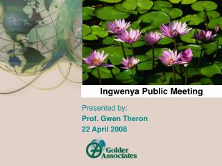 Ingwenya Public Meeting