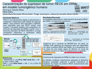 Introdução/Objetivos