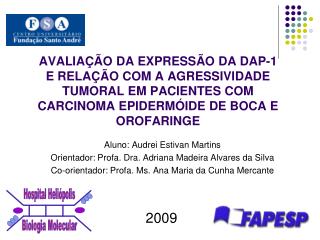 Aluno: Audrei Estivan Martins Orientador: Profa. Dra. Adriana Madeira Alvares da Silva