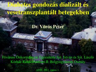 Diabetes gondozás dializált és vesetranszplantált betegekben Dr. Vörös Péter