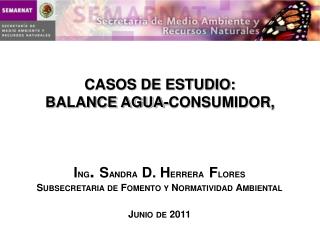 CASOS DE ESTUDIO: BALANCE AGUA-CONSUMIDOR,