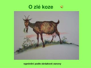 O zlé koze