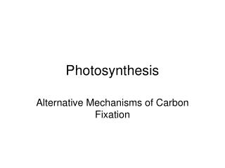 Photosynthesis