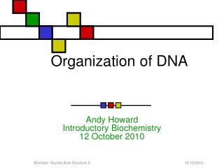 Organization of DNA