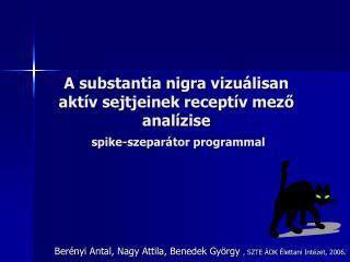 A substantia nigra vizuálisan aktív sejtjeinek receptív mező analízise