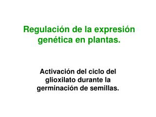 Regulación de la expresión genética en plantas.