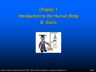 Chapter 1 Introduction to the Human Body B. Souto