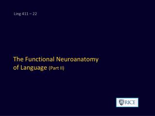The Functional Neuroanatomy of Language (Part II)