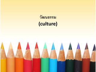 วัฒนธรรม (culture)