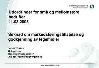 Utfordringer for små og mellomstore bedrifter 11.03.2008