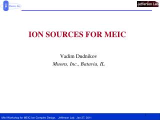 ION SOURCES FOR MEIC