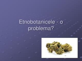 Etnobotanicele - o problema?