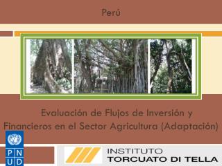 Evaluación de Flujos de Inversión y Financieros en el Sector Agricultura (Adaptación)