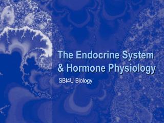 The Endocrine System &amp; Hormone Physiology
