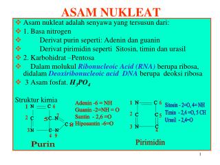 ASAM NUKLEAT