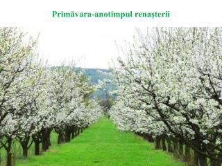Primăvara-anotimpul renaşterii