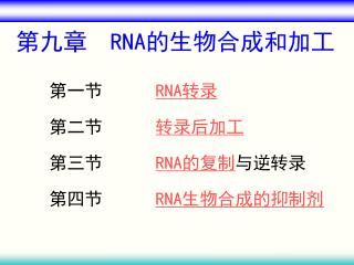 第九章 RNA 的生物合成和加工