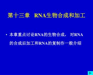 第十三章 RNA 生物合成和加工