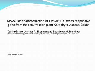 Molecular characterization of XVSAP1, a stress-responsive