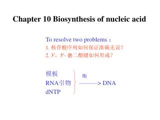 Chapter 10 Biosynthesis of nucleic acid